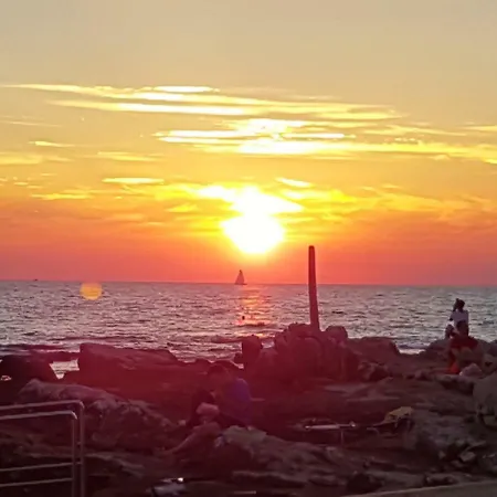 Daire Beachfront Palma *